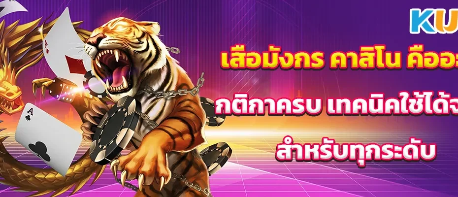 เสือมังกร คาสิโน คืออะไร กติกาครบ เทคนิคใช้ได้จริง สำหรับทุกระดับ